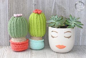 Sleepy Girl Succulents with Free Crocheted Cactus That Stands Up. 