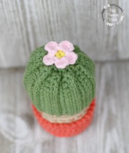 Flower on free crocheted cactus that stands up. 