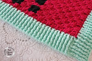 Crocheted C2C Cactus Banket ALOE! Border