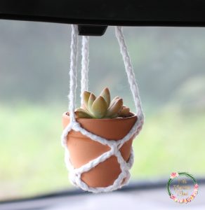 Crocheted Hanging Pot Holder in car with succulents.