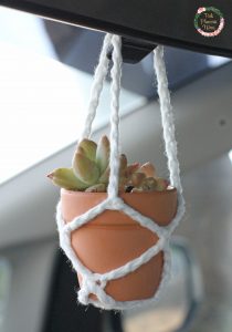 Crocheted Hanging Pot Holder with succulents up close.