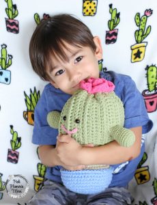 Rosie the Crocheted Plushy Cactus is very snuggly.