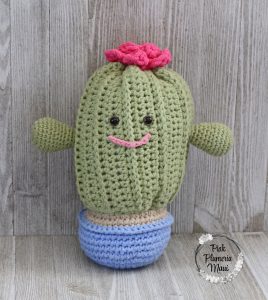 Rosies is a Crocheted Cactus you can snuggle.